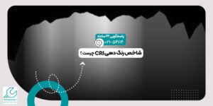 شاخص رنگ دهی